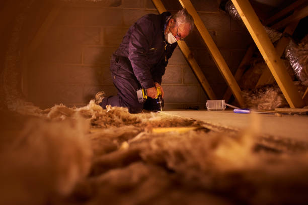 Best Eco-Friendly Insulation in Sherwood, WI